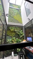 Serangoon Garden Estate (D19), Terrace #580187761